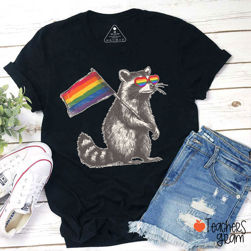 Funny Raccoon Rainbow Flag Pride Teacher T-Shirt