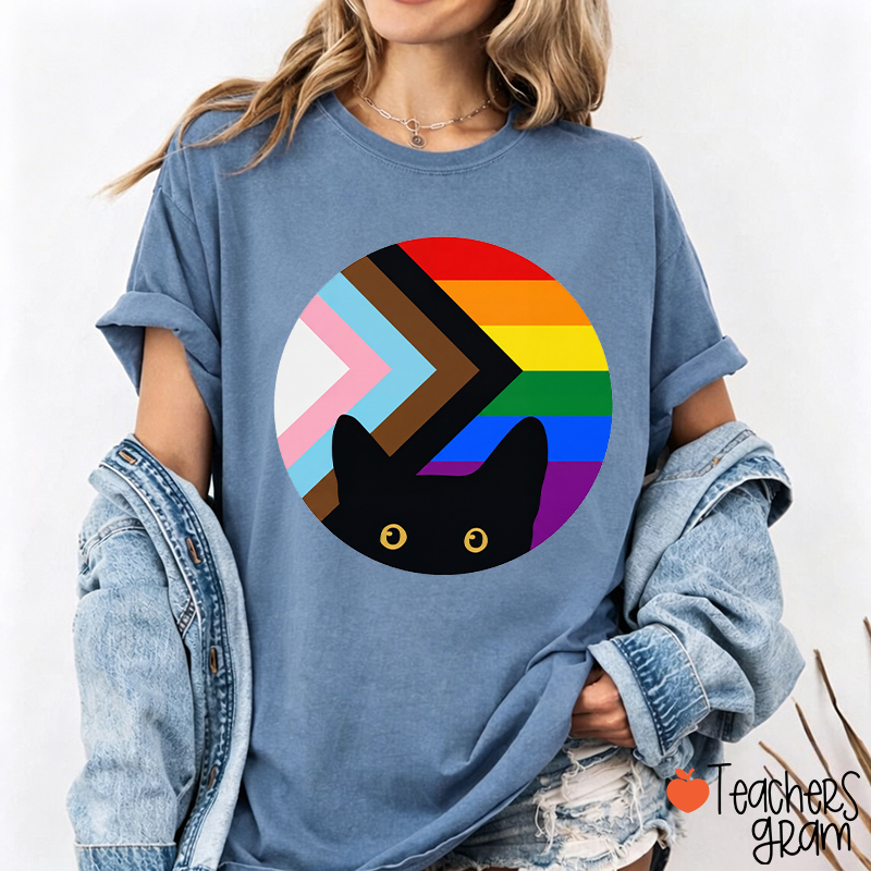 Rainbow And Black Cat Teacher T-Shirt