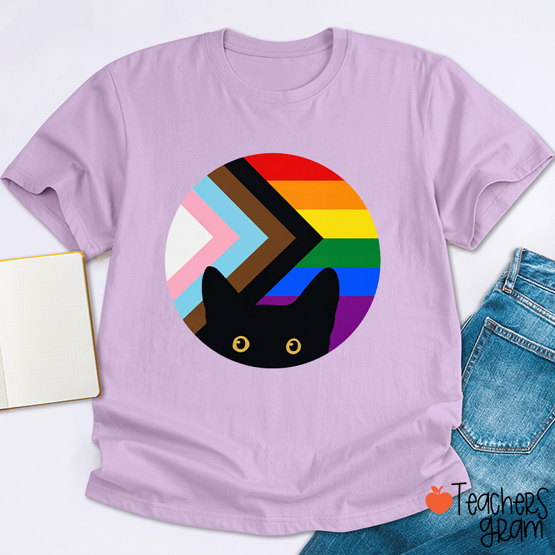 Rainbow And Black Cat Teacher T-Shirt