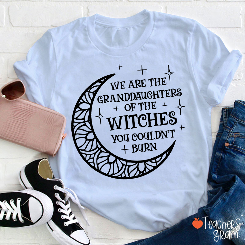 The Witches You Couldn't Burn Teacher T-Shirt