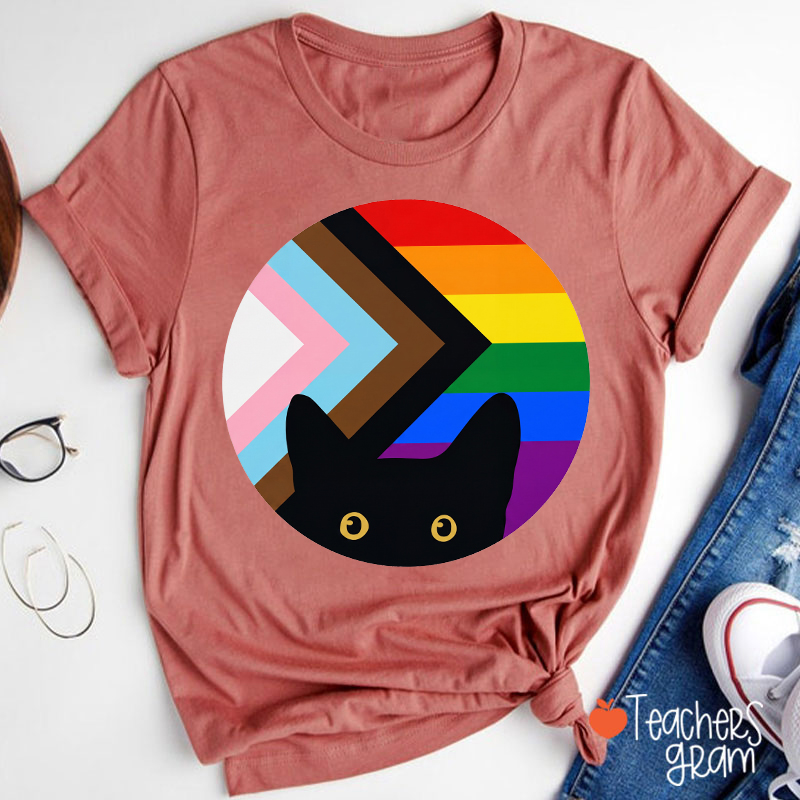 Rainbow And Black Cat Teacher T-Shirt
