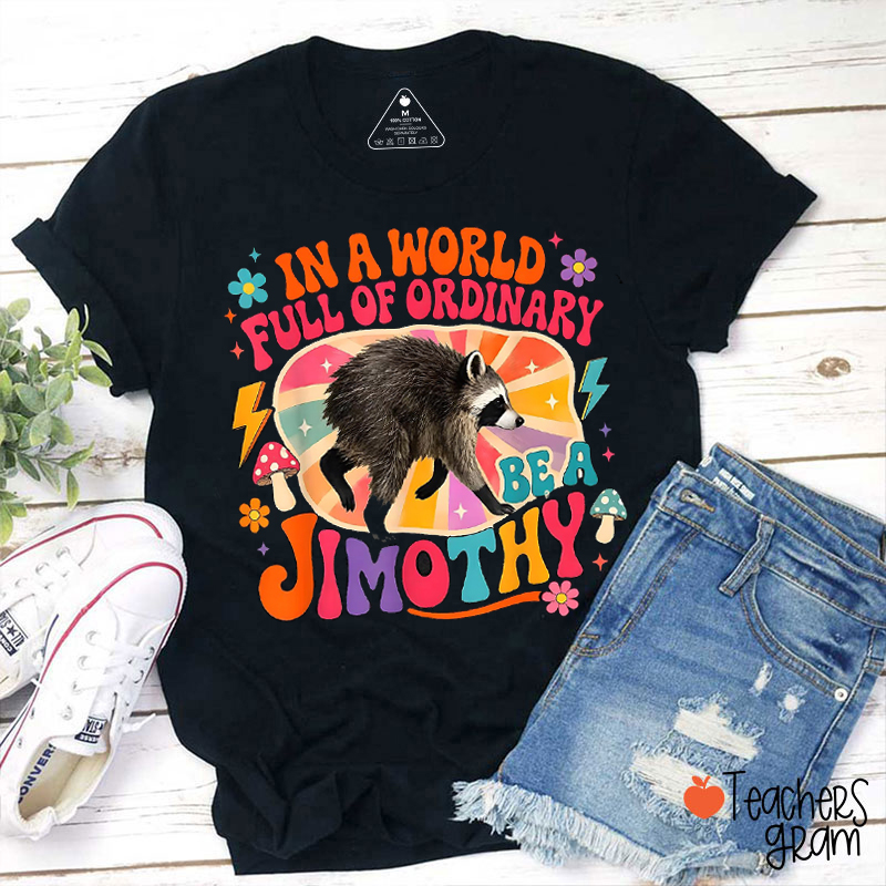 In A World Full Of Ordinary Be A Jimothy Raccoon Teacher T-Shirt