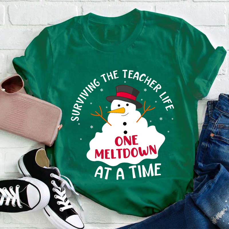 Surviving The Teacher At A Time Teacher T-Shirt
