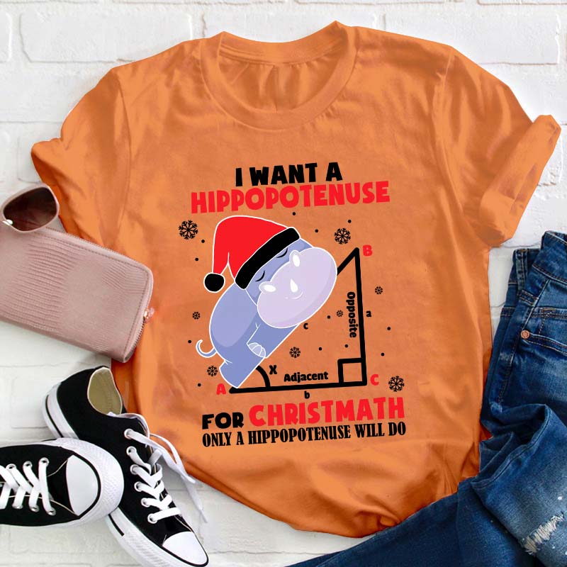 I Want A Hippopotenuse For Christmas Teacher T-Shirt