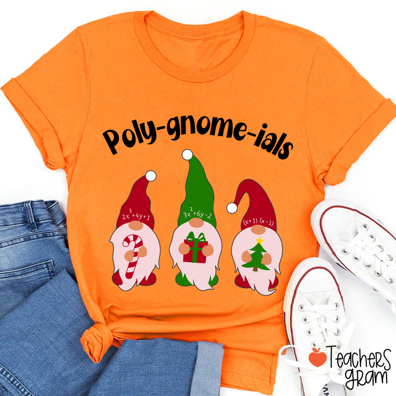 Poly Gnome Ials Math Teacher T-Shirt