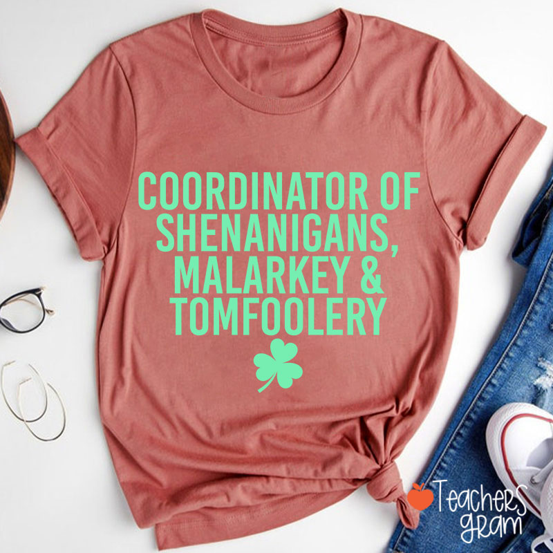 Coordinator Of Shenanigans Teacher T-Shirt