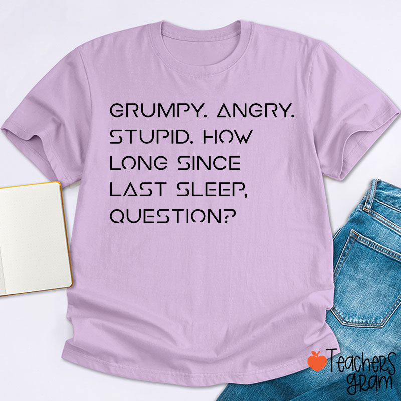 Grumpy Angry Stupid Teacher T-Shirt
