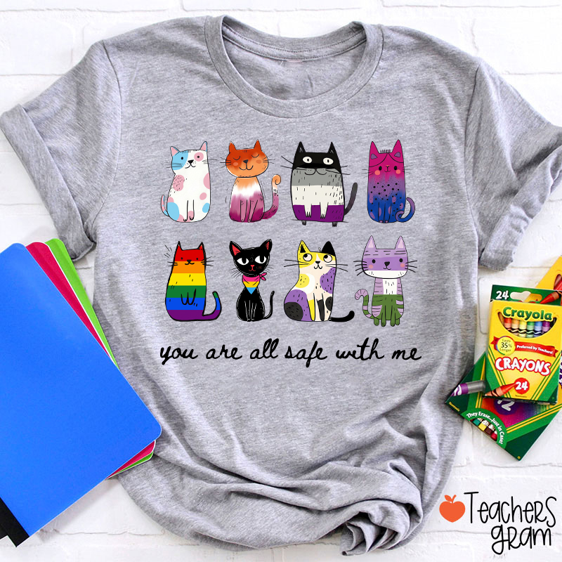 Rainbow Color Cats You Are All Safe With Me Teacher T-Shirt