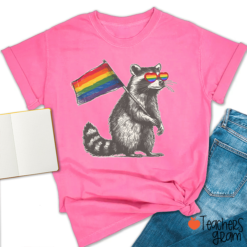 Funny Raccoon Rainbow Flag Pride Teacher T-Shirt