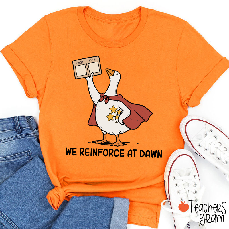 We Reinforce At Dawn Silly Goose Cape Star Chart Teacher T-Shirt