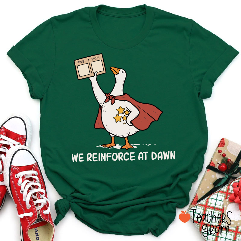 We Reinforce At Dawn Silly Goose Cape Star Chart Teacher T-Shirt