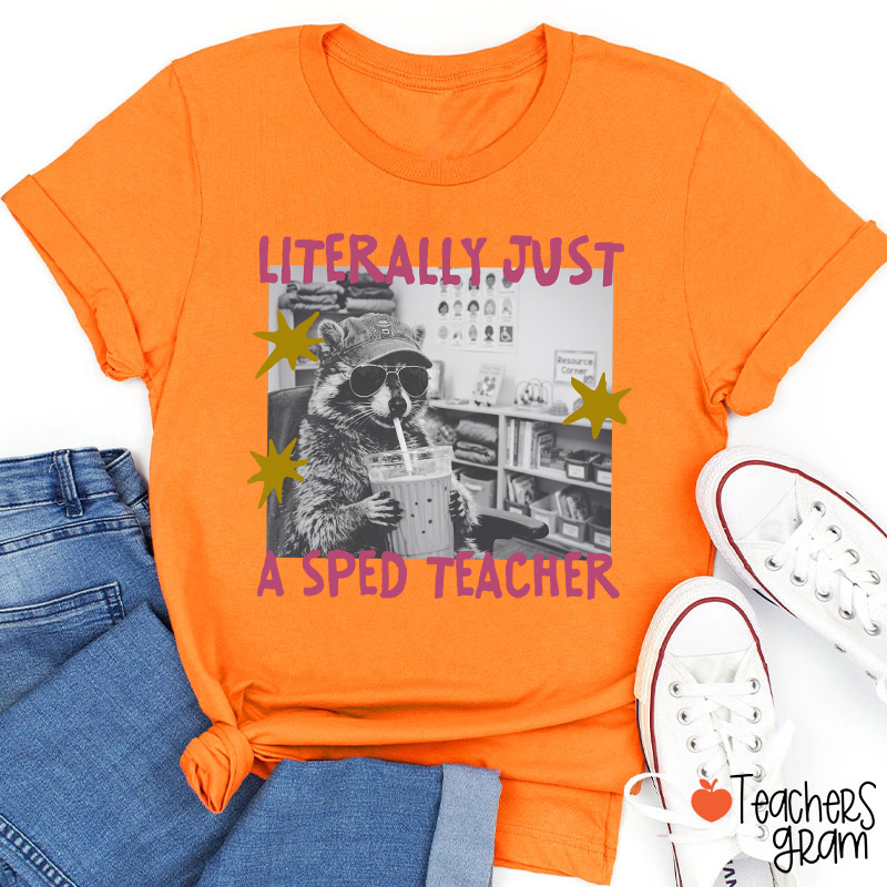 Literally Just A SPED Teacher Raccoon Bubble Tea Teacher T-Shirt