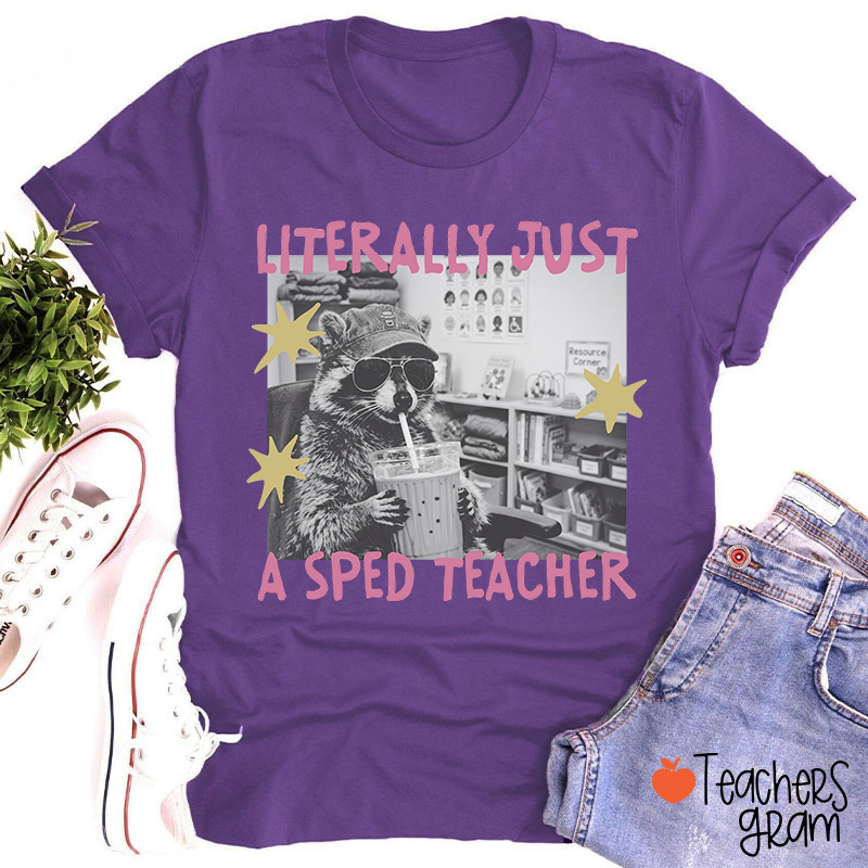 Literally Just A SPED Teacher Raccoon Bubble Tea Teacher T-Shirt