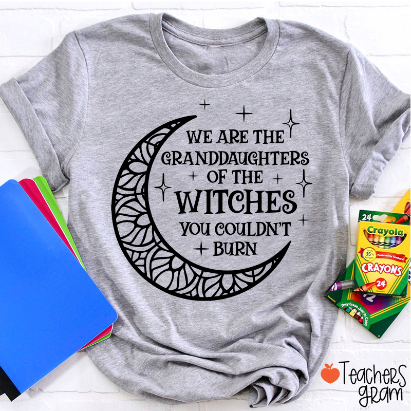 The Witches You Couldn't Burn Teacher T-Shirt