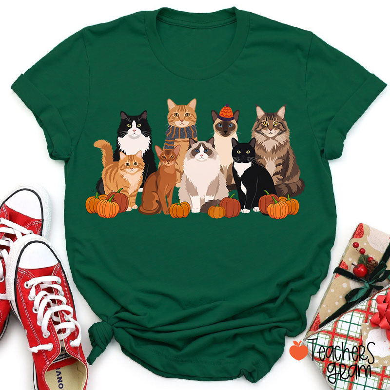 Cute Different Breeds Cats With Pumpkins Fall Teacher T-Shirt