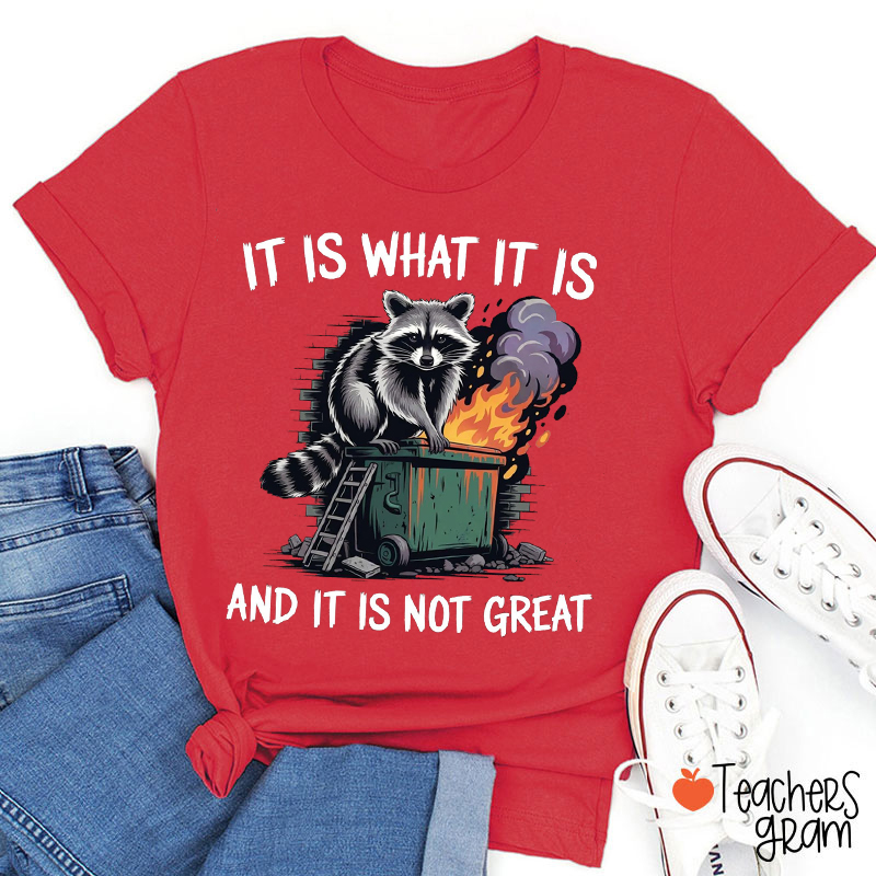 It Is What It Is And It Is Not Great Teacher T-Shirt
