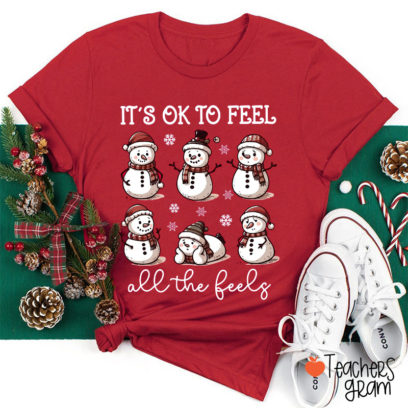 It's Ok To Feel All The Feels Teacher T-Shirt