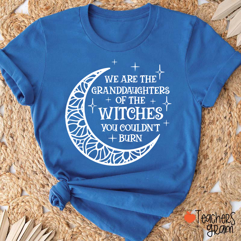 The Witches You Couldn't Burn Teacher T-Shirt