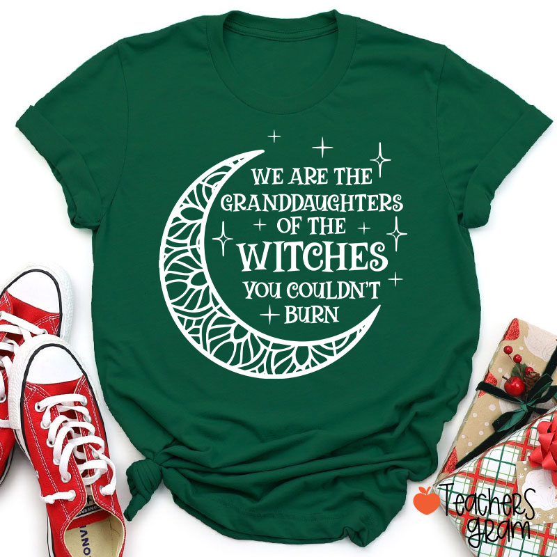 The Witches You Couldn't Burn Teacher T-Shirt