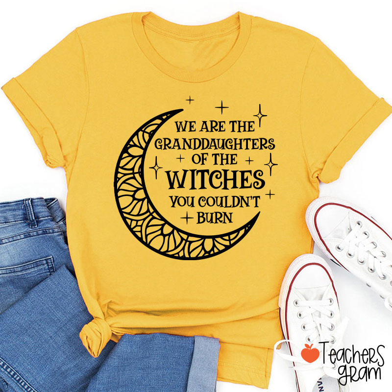 The Witches You Couldn't Burn Teacher T-Shirt