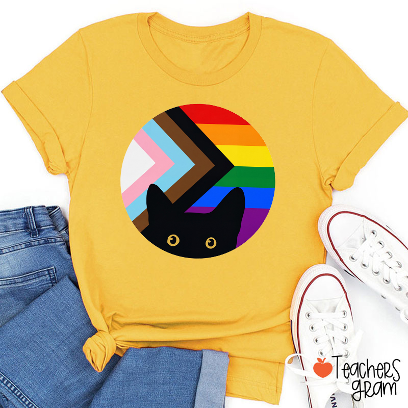 Rainbow And Black Cat Teacher T-Shirt