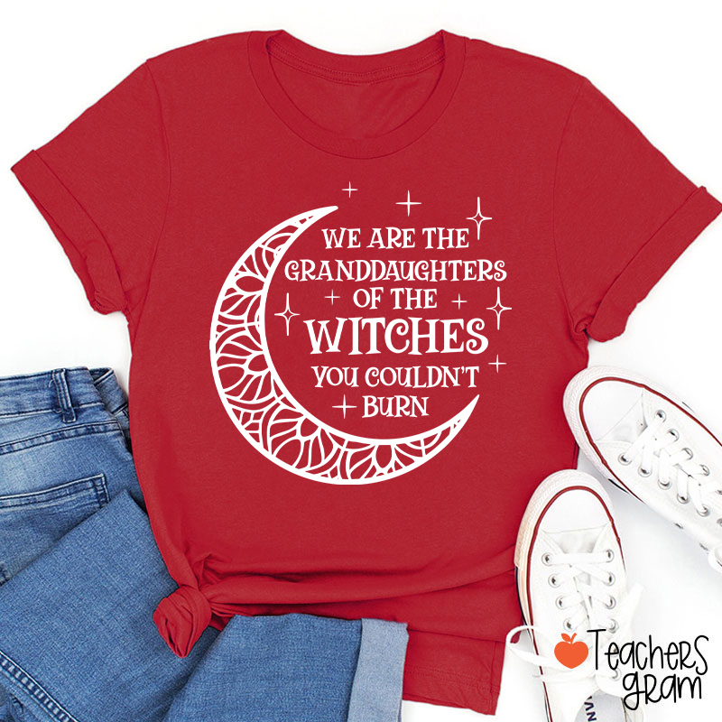 The Witches You Couldn't Burn Teacher T-Shirt