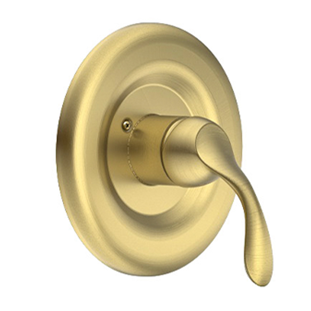 Shower Trim with Rough-in Valve