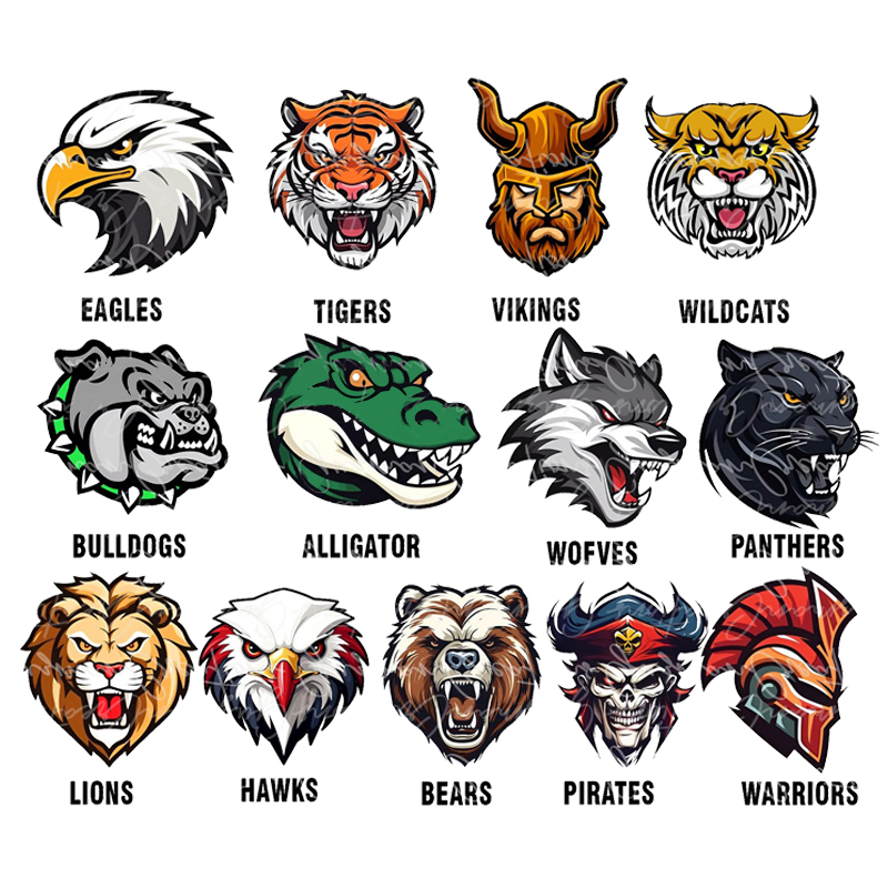 Personalized Starry Eyes Mascot Colored Checkered Teacher T-Shirt