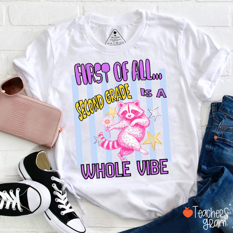 Personalized Grade Pink Raccoon Whole Vibe Teacher T-Shirt