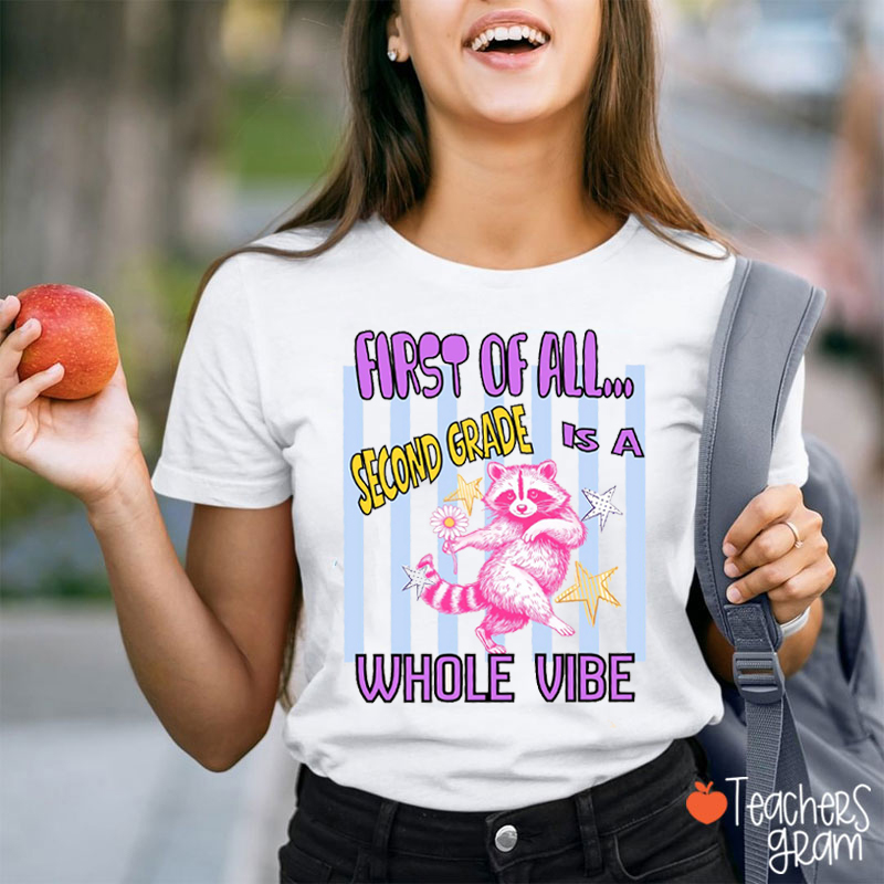 Personalized Grade Pink Raccoon Whole Vibe Teacher T-Shirt