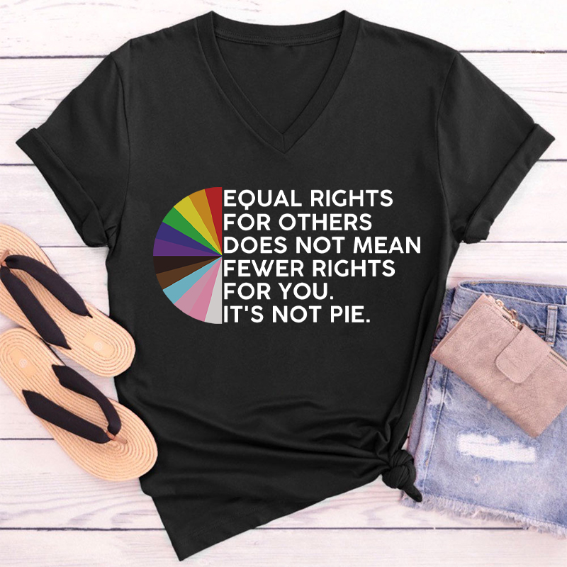 Equal Rights For Others Teacher Female V-Neck T-Shirt