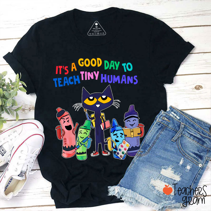 It's A Good Day To Teach Tiny Humans T-Shirt