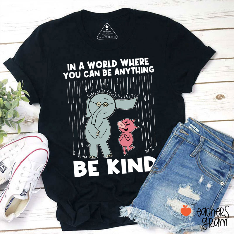 Be Kind In A World Where You Can Be Anything Teacher T-Shirt