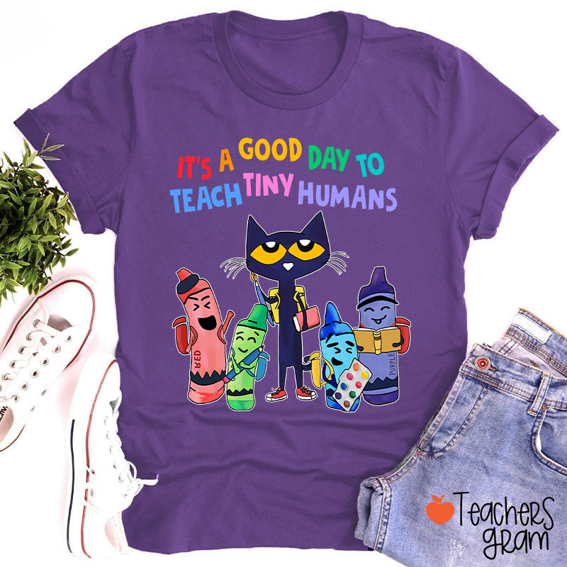 It's A Good Day To Teach Tiny Humans T-Shirt