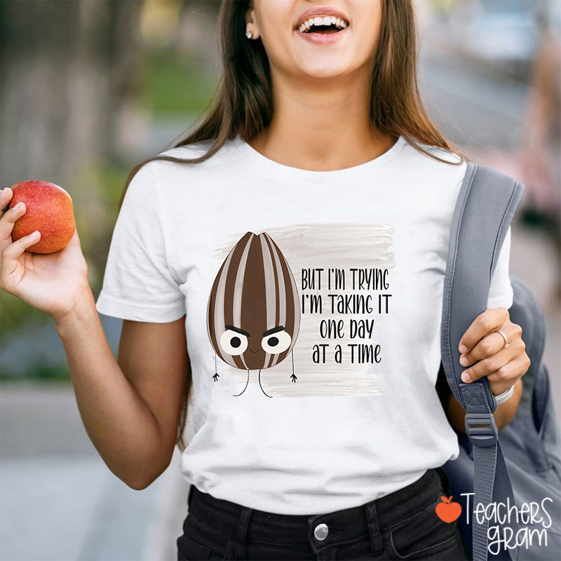 But I Am Trying I Am Taking It One Day At A Time Teacher T-Shirt