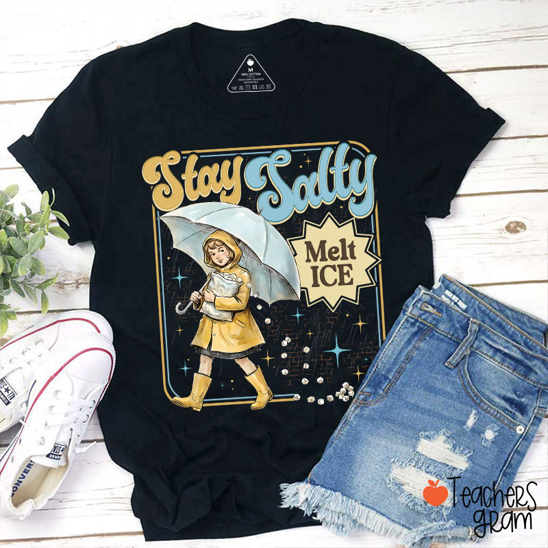 Stay Salty Melt Ice Subtle Anti Ice Teacher T-Shirt