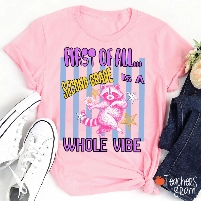 Personalized Grade Pink Raccoon Whole Vibe Teacher T-Shirt