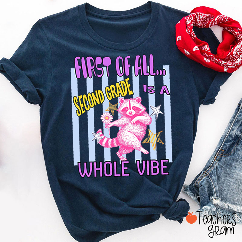 Personalized Grade Pink Raccoon Whole Vibe Teacher T-Shirt