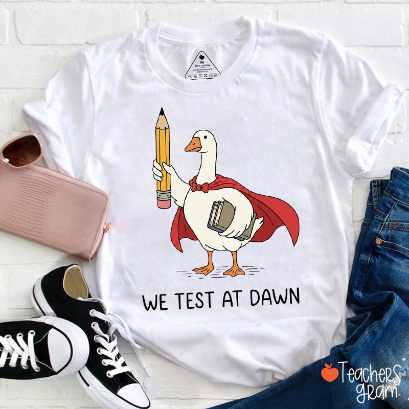 We Test At Dawn Silly Goose Teacher T-Shirt