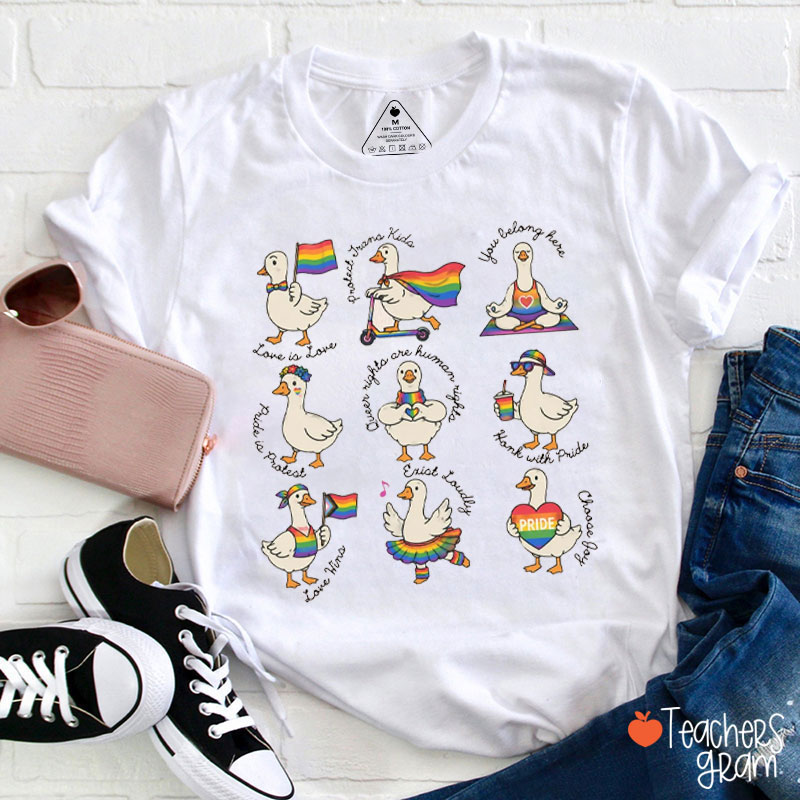Silly Rainbow Goose Pride Teacher T-Shirt