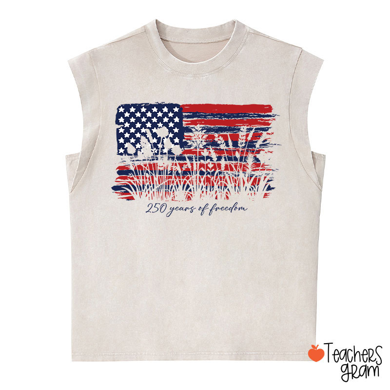 Land Of The Free Home Of The Brave Teacher Washed Tank Top