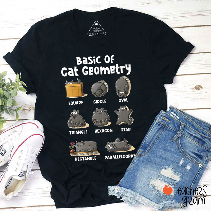 Basic Of Cat Geometry Teacher T-Shirt
