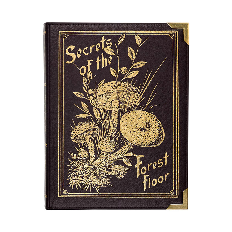 Secrets Of The Forest Floor Book Bag