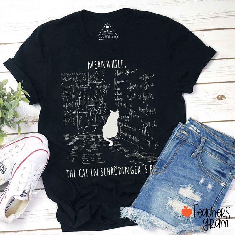 Meanwhile The Cat In Schrödinger's Box Teacher T-Shirt