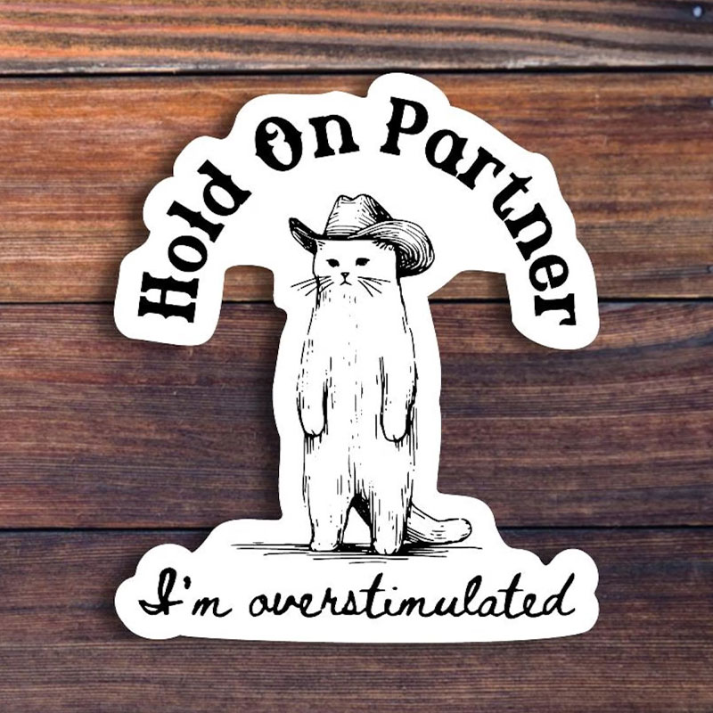 Cowboy Cat Hold On Partner Teacher Stickers