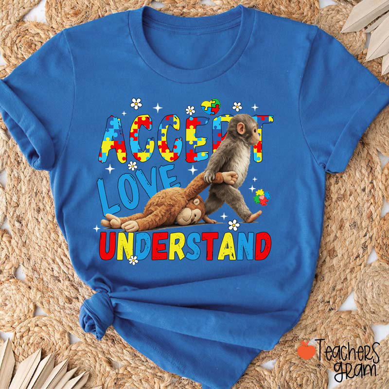Accept Love Understand Punch Teacher T-Shirt