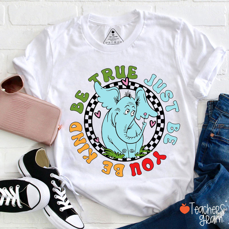 Be True Just Be You Be Kind Teacher T-Shirt