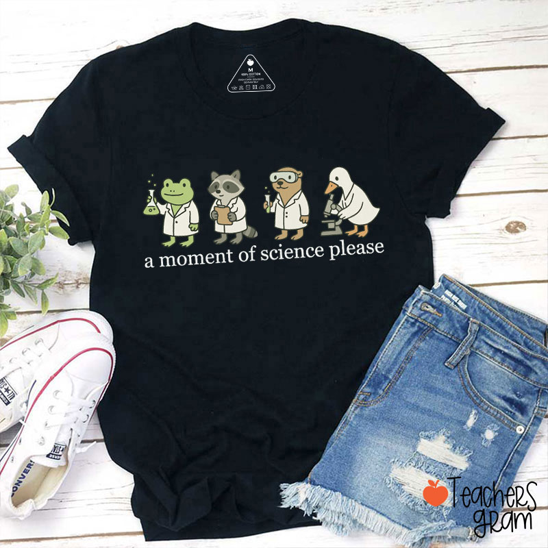 A Moment Of Science Please Teacher T-Shirt