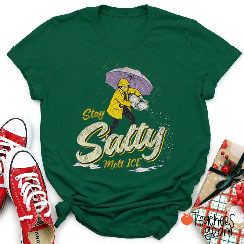 Stay Salty Melt Ice Teacher T-Shirt
