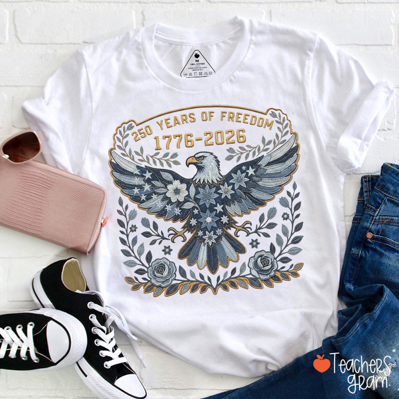 Faux Patchwork Denim Folk Art USA Eagle Teacher T-Shirt